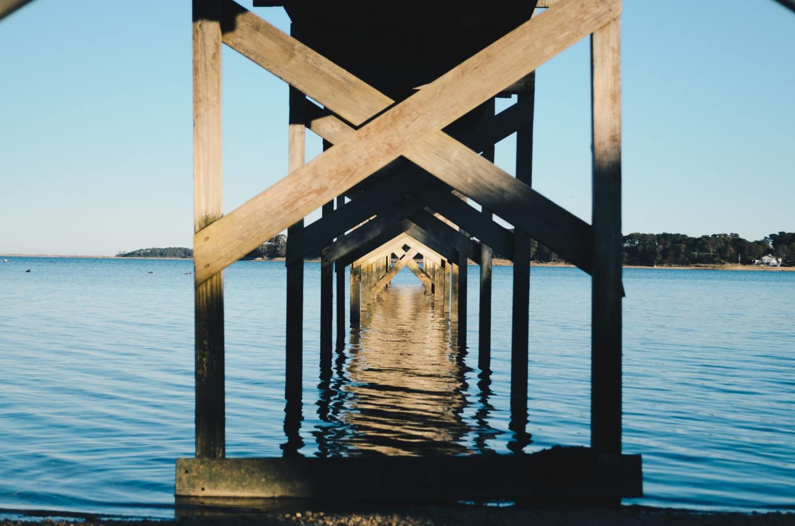 Photo by Kelly Sikkema