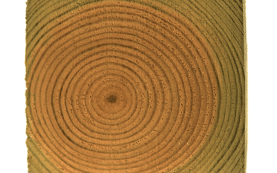 Kurs i Industriellt träskydd 2021