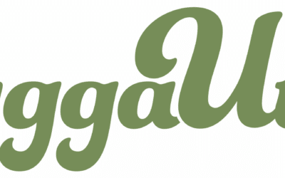 Presentation vid ByggaUte Webinarium