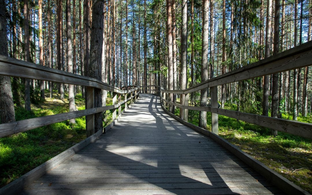 Järvzoo i Ljusdal – unik parkmiljö i naturskönt skogslandskap