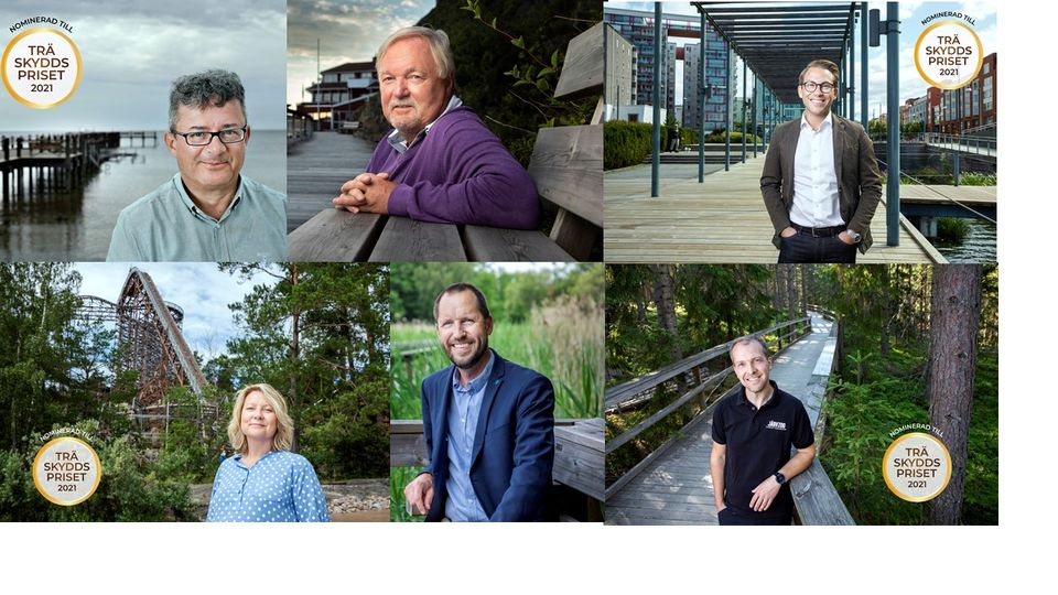 Alla kandidater till Träskyddspris presenterade – nu ska vinnare koras