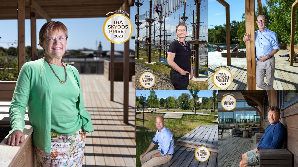 Alla kandidater till Träskyddspris presenterade – nu ska vinnare koras