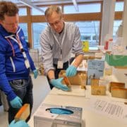 Labb bedömning av inträgning