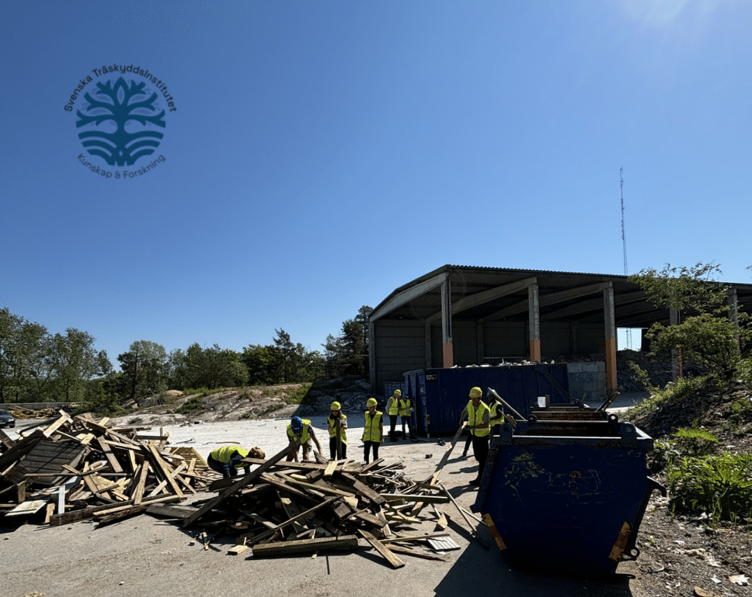 Namnlös design (17)