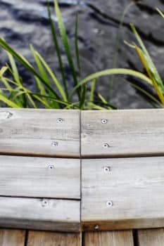 Träskyddspriset 2024 soldäcket9