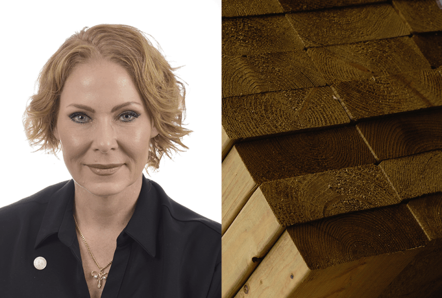 Foto: Riksdagen/Träskyddsföreningen