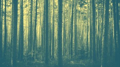 Anmälan öppen: Workshop om ekodesign och cirkularitet i träindustrin