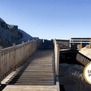 Ett tredje starkt bidrag till Träskyddspriset 2025 presenteras!