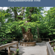 Ny version av Miljöhandboken publicerad